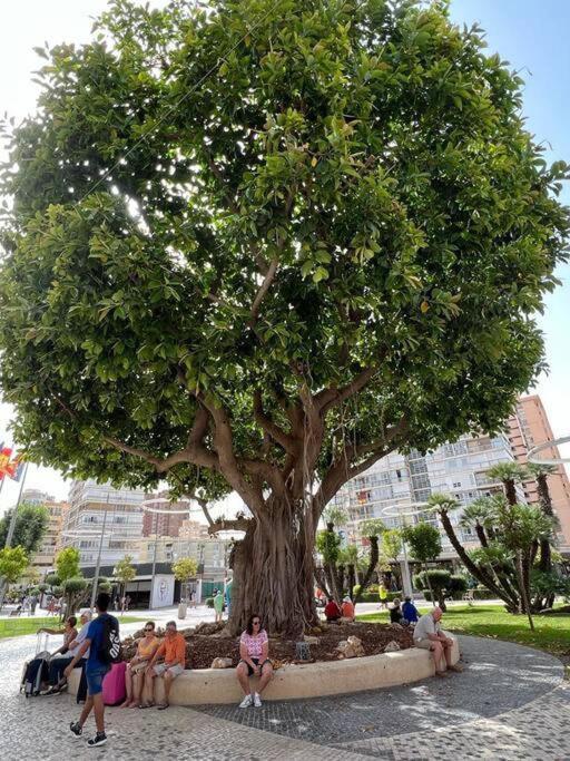 Apartamento Apartamento Céntrico Y En Primera Línea De Playa Benidorm