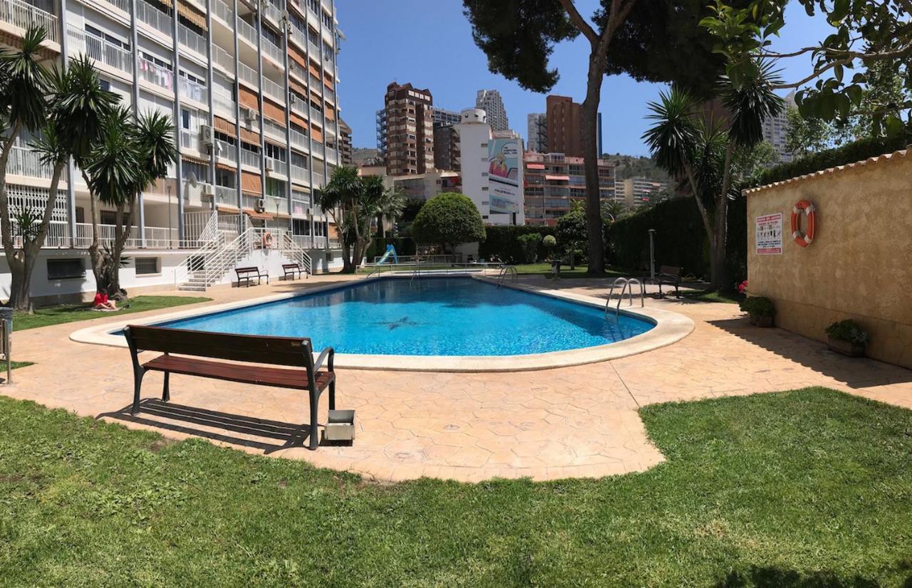 Albatros Apartamento *