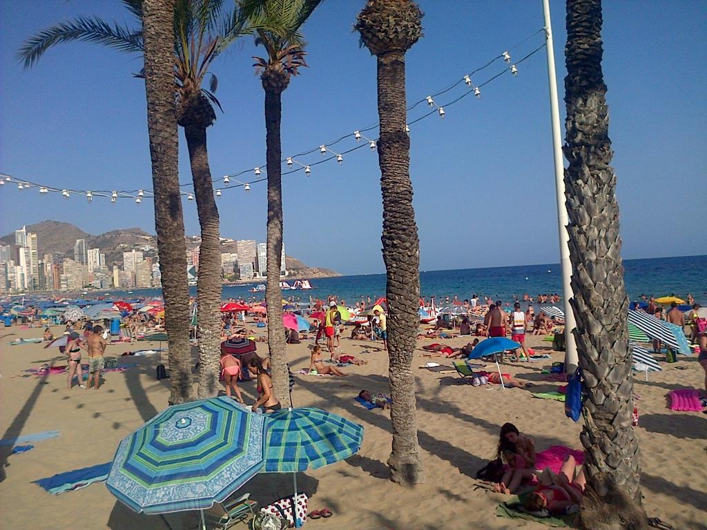 Iris * Benidorm
