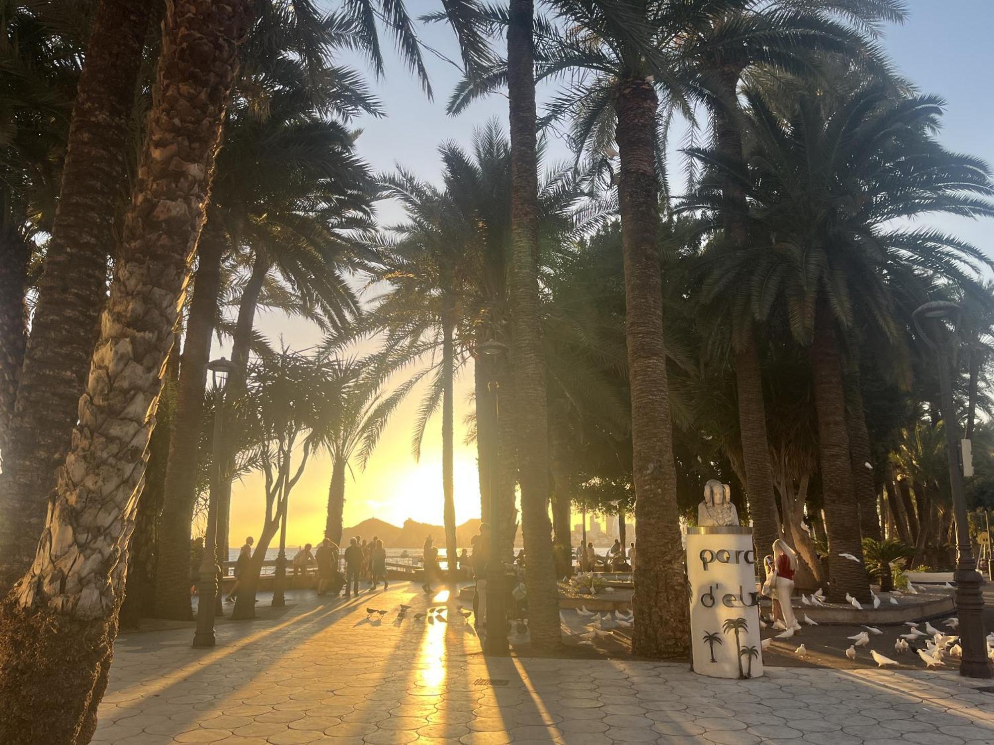 Rouna Vi By Gloove Apartamento Benidorm