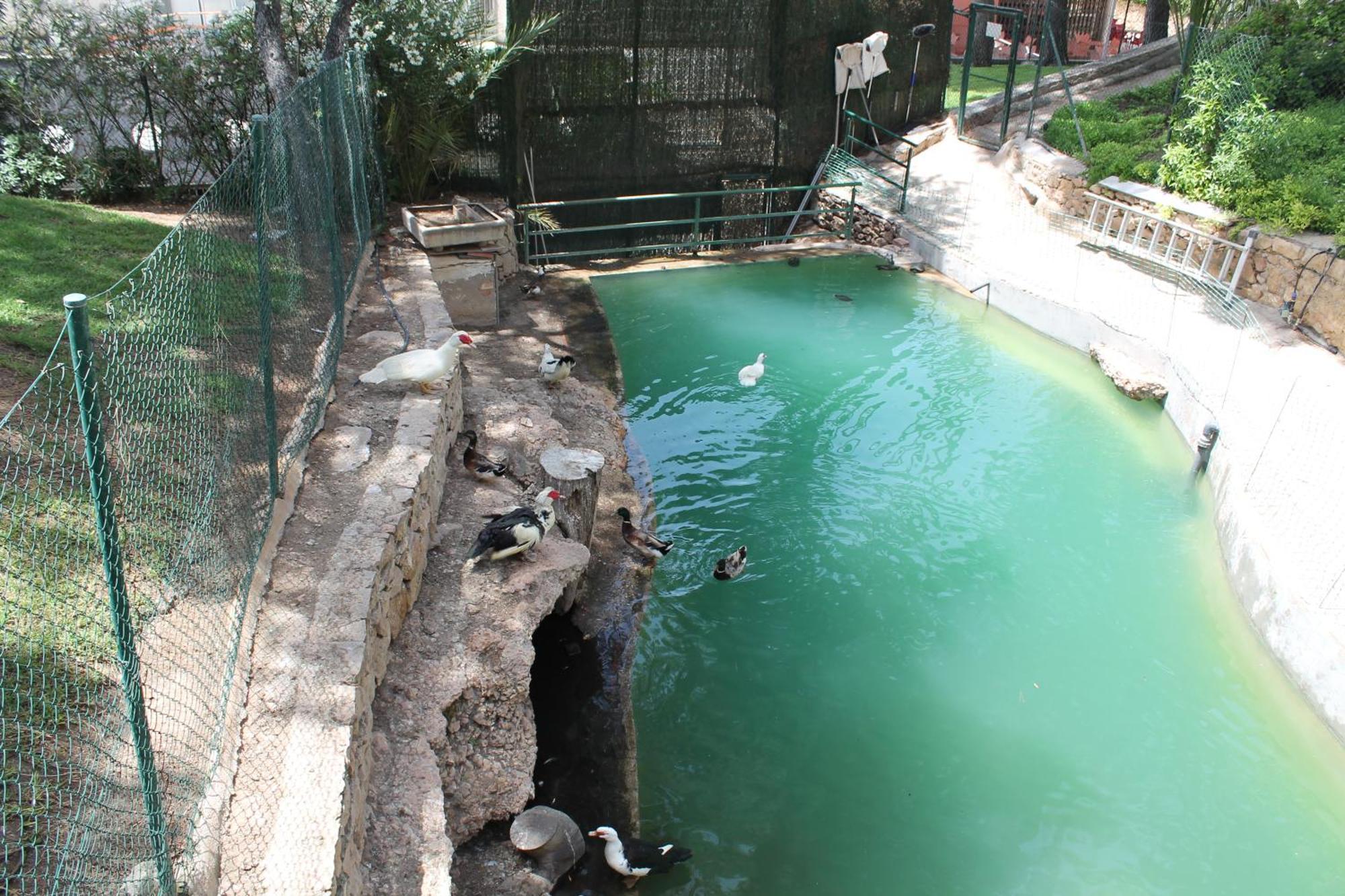 Bonito Piso Levante Benidorm