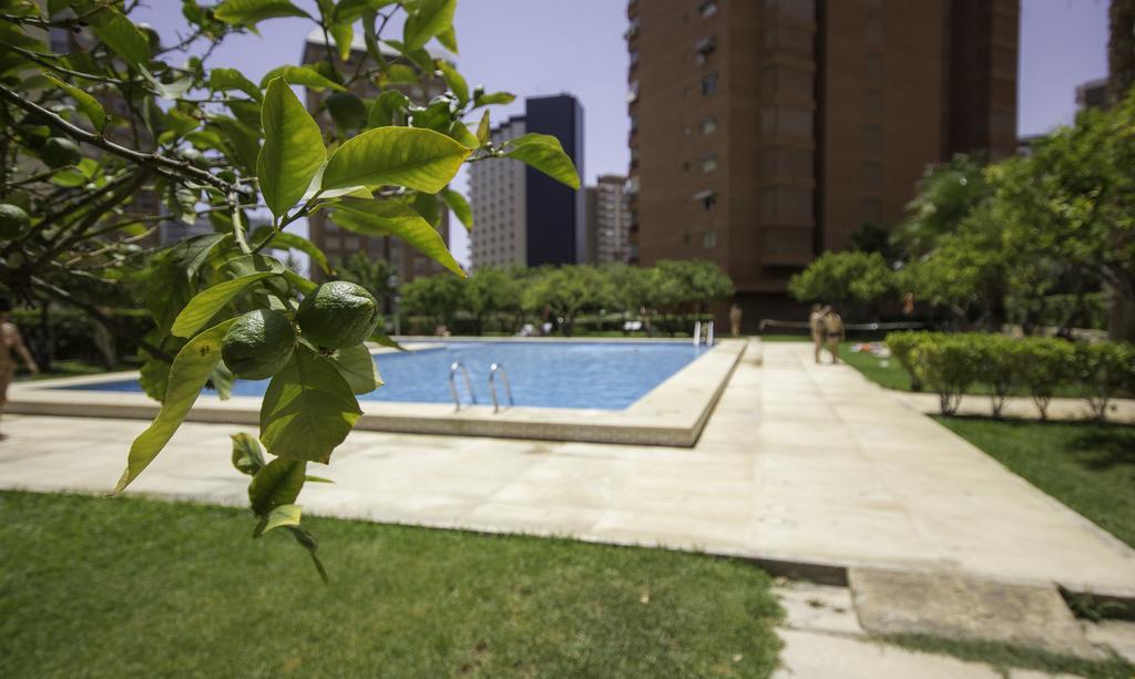 Apartamento Principado Europa - Beninter