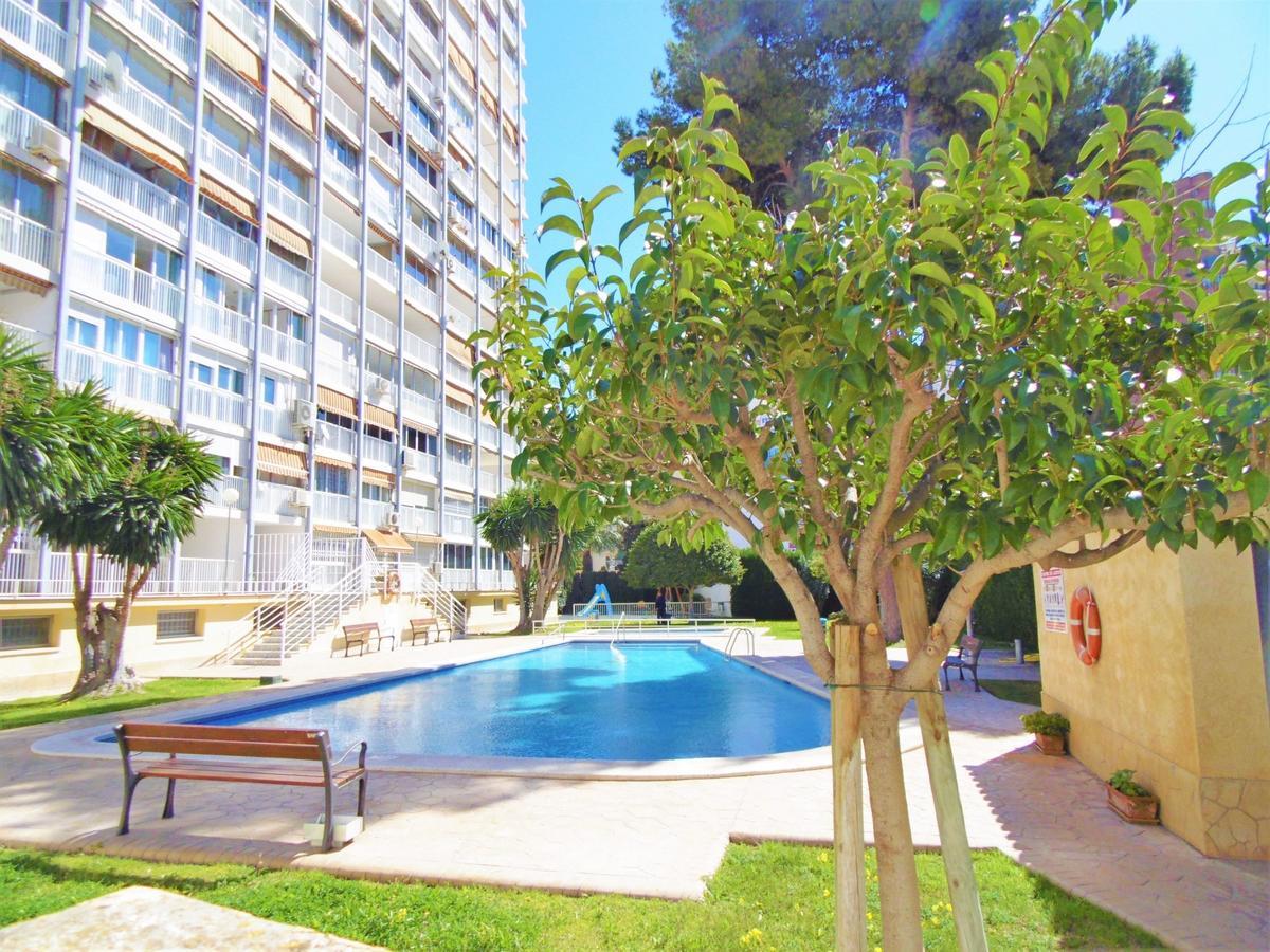 Albatros 13-1 Apartamento Benidorm