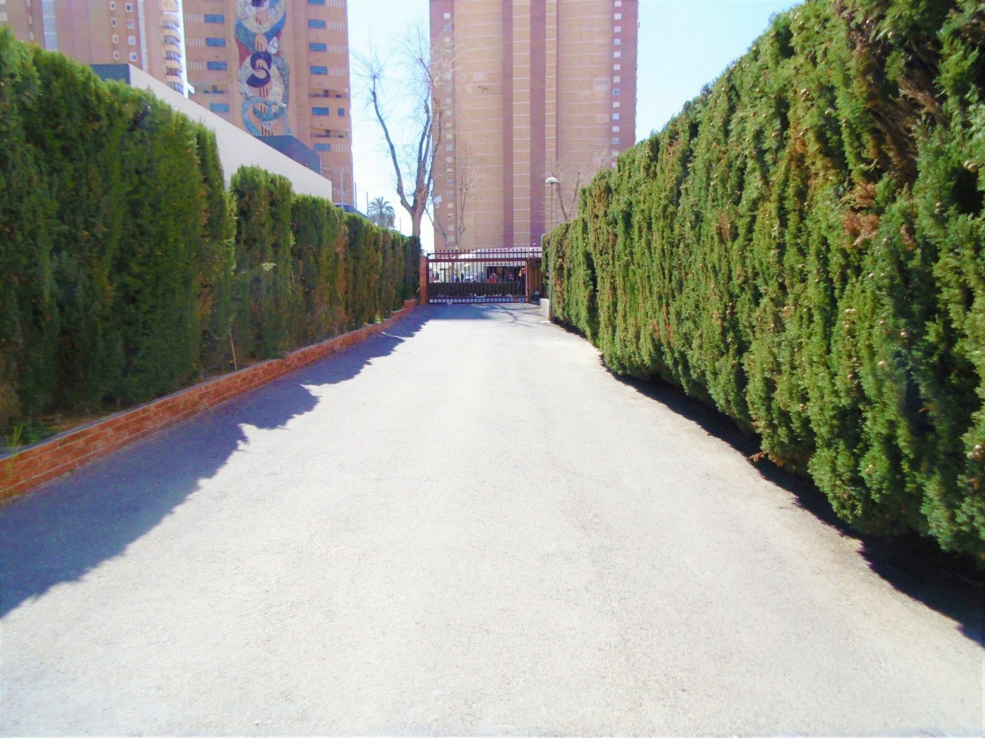 Edimar 2-3 Apartamento *