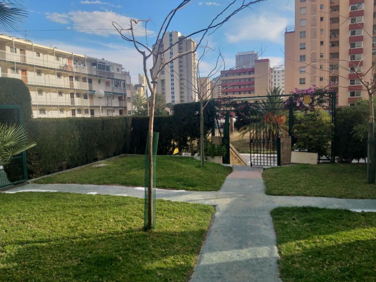Mariscal Apartamento Benidorm