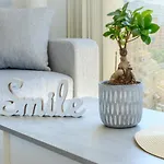 See The Sea Miramar Apartment - 150M To The Beach