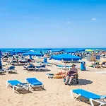 Alteanos 16-2