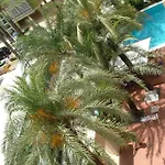 Hotel El Palmeral