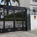 Caballos 2D - Estudio - Fincas Arena