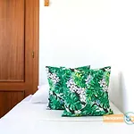 Auge Apartment