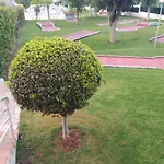 LEVANTE Gemelos 8