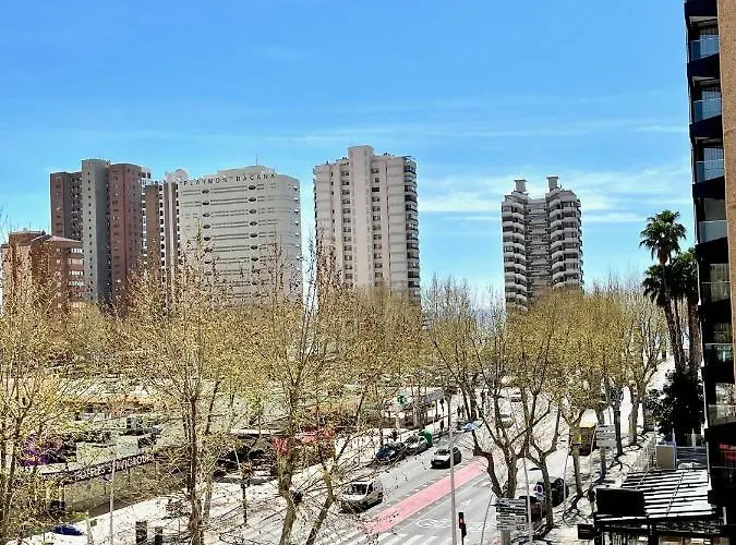 Mariscal 1 - Aloturin Benidorm