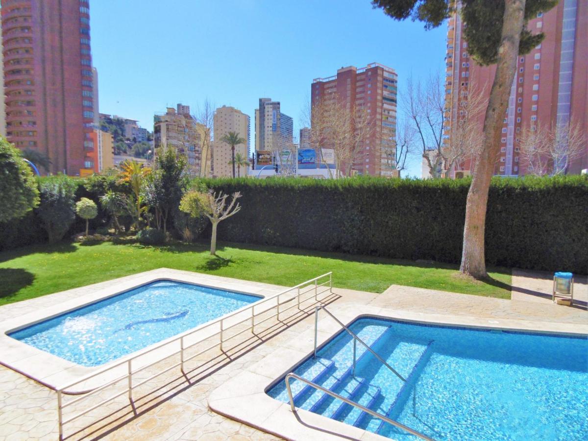 Apartamento Albatros 18-8 Benidorm