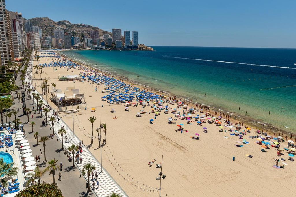 Las Palmeras 15a Apartamento