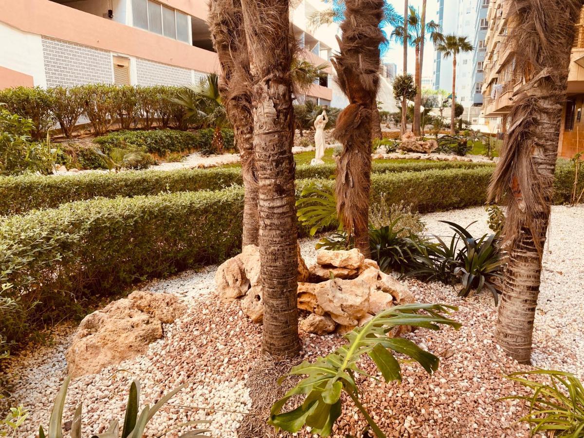 Apartamento Residencial Benipark