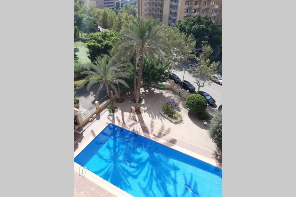 Apartamento Moby Dick 3a Benidorm