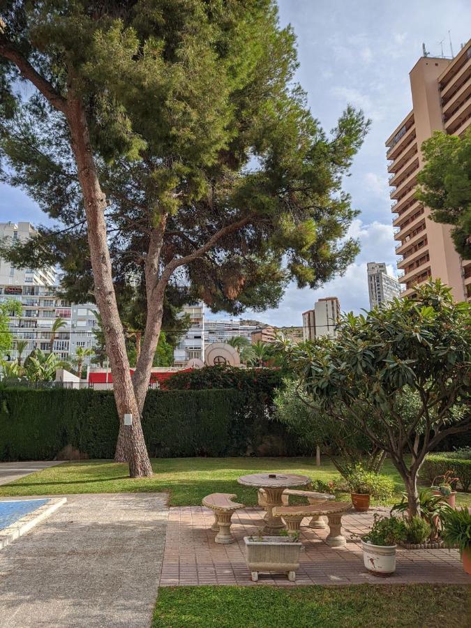 Precioso En * Benidorm