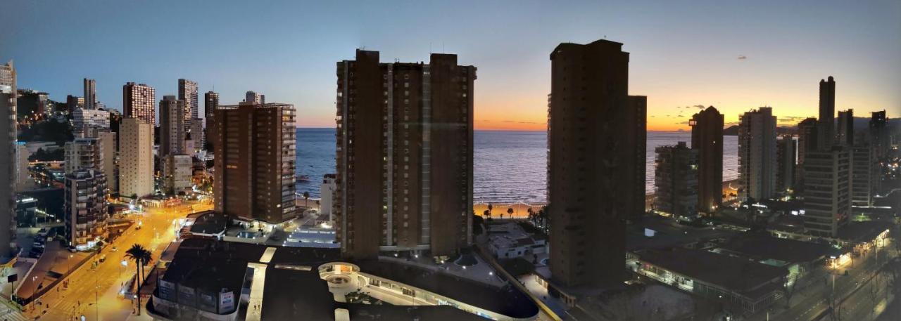 Albatros 18-8 Apartamento