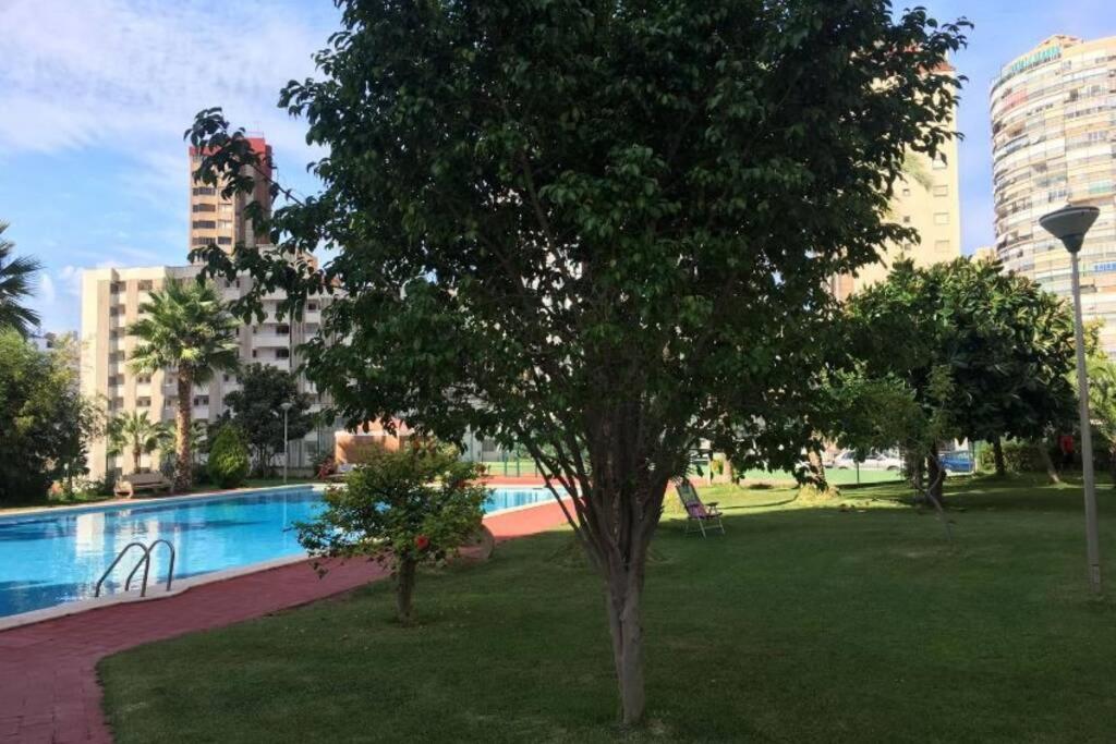 Alteanos, Centrico Y Confortable, Soleado, Con Piscina Y Jardines, Tenis, Parking Exterior Comunitario, Y La Playa Andando 10 Min Apartamento *