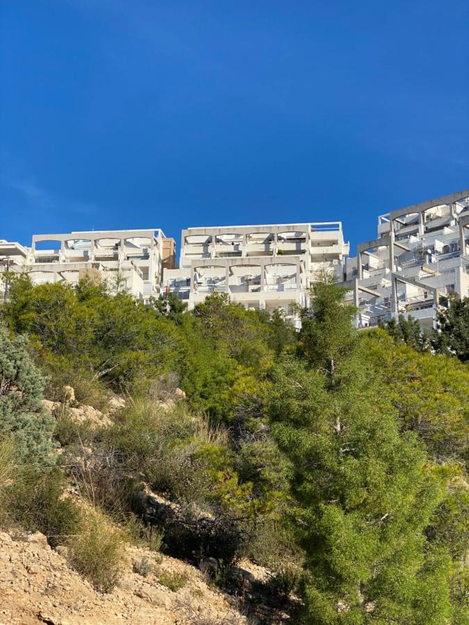 Belle Vue 1ère Lignée Marina *