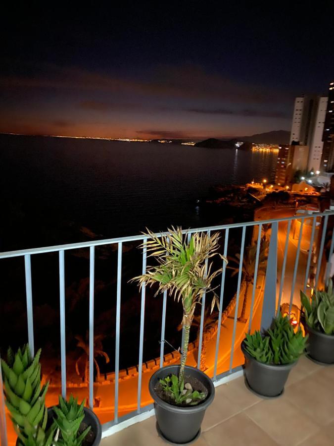 Belle Vue 1ère Lignée Marina *