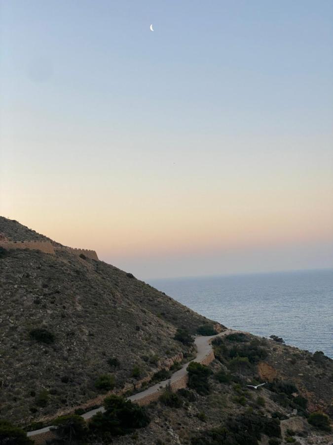 Belle Vue 1ère Lignée Marina Benidorm