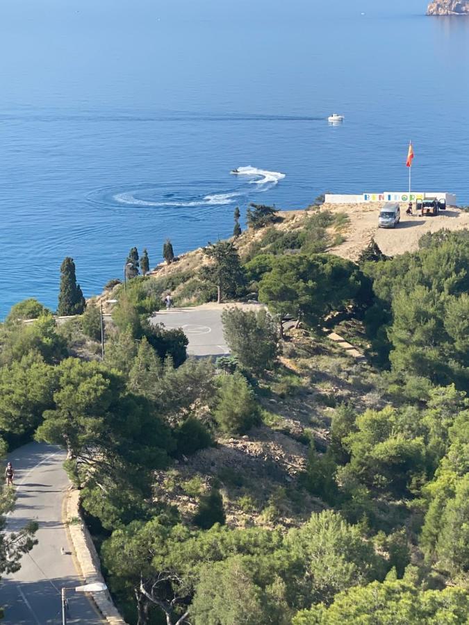 Belle Vue 1ère Lignée Marina
