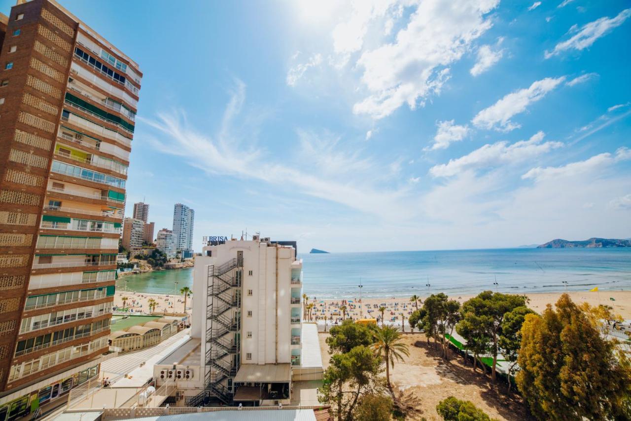 Apartamento Coblanca 8-5º Benidorm