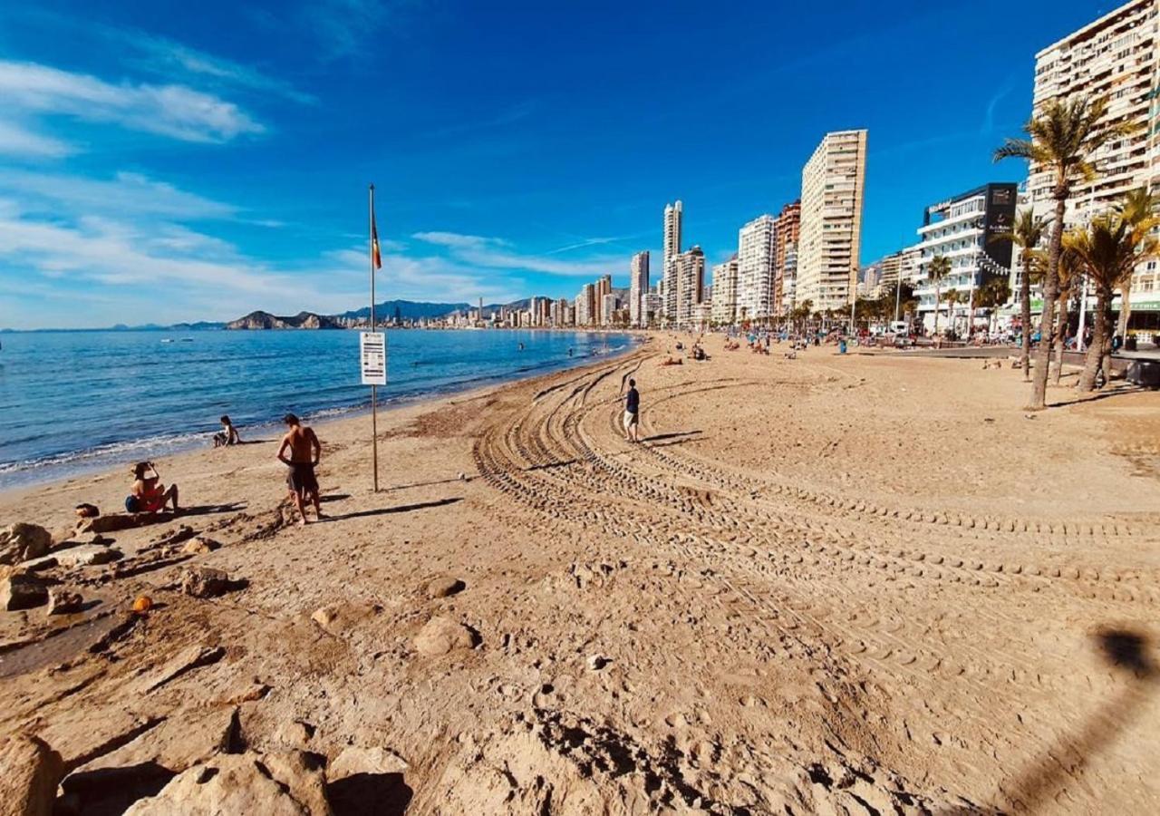 Apartamento Nervion, C - Bajo 8 Benidorm