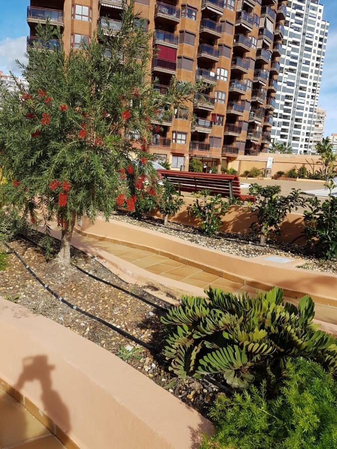 Apartamento Fabuloso Apartamento En Benidorm