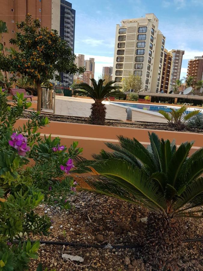 Fabuloso Apartamento En Apartamento