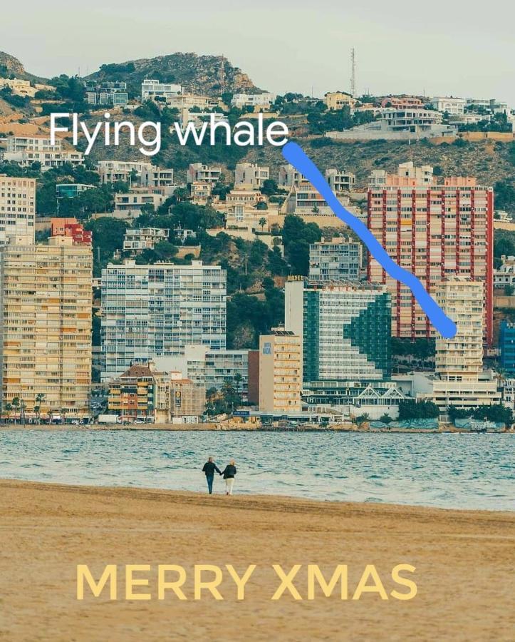 Apartamento Portofino Flying Whale *