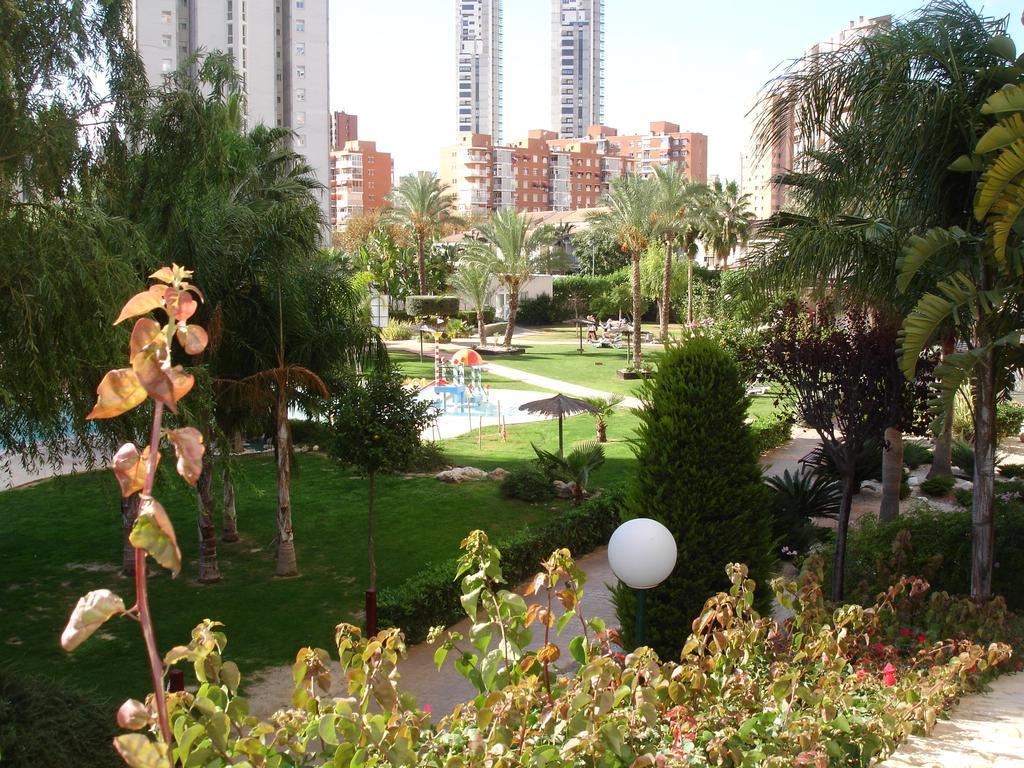Gemelos 22 - Apartamento Benidorm