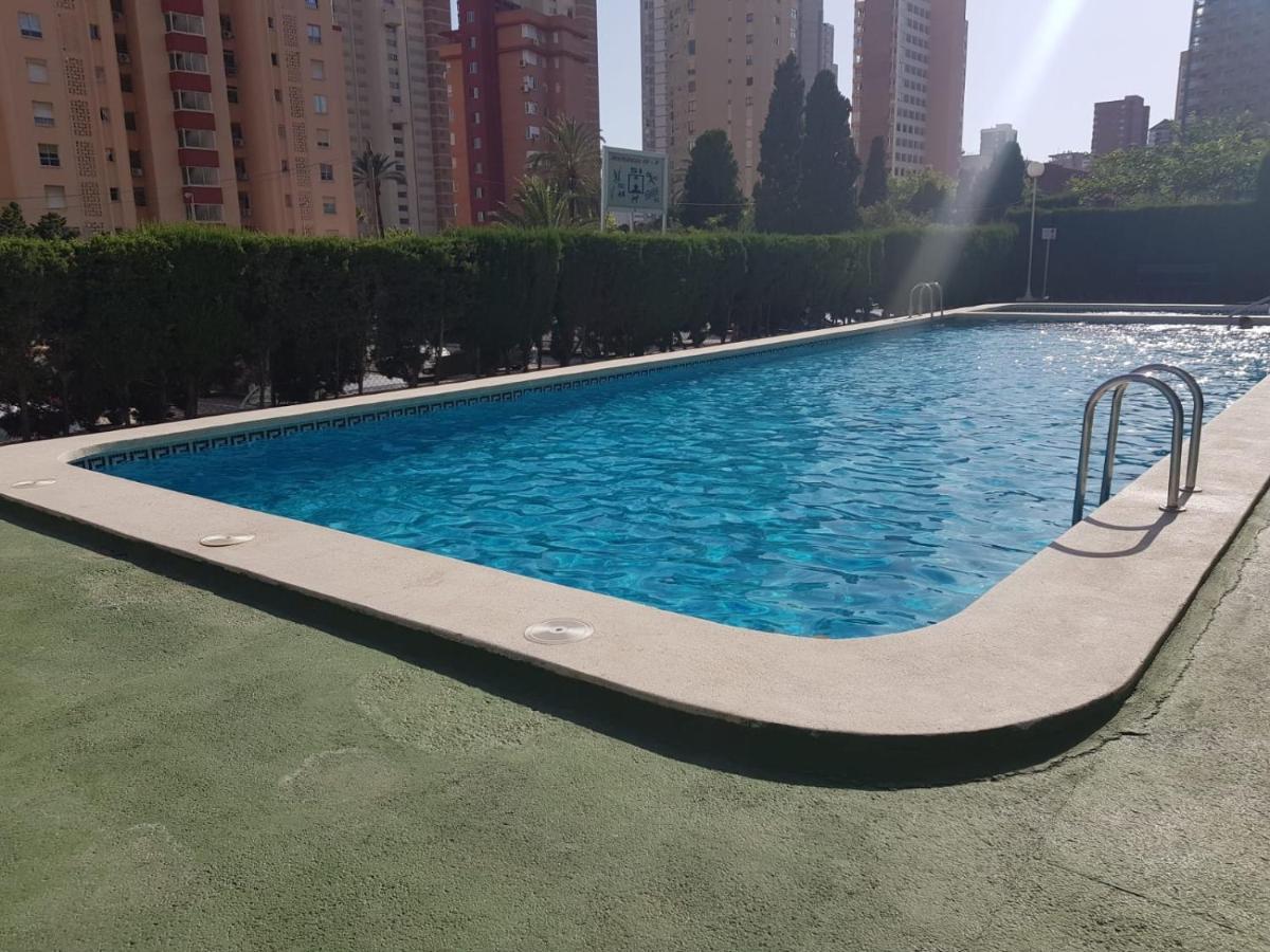 Mariscal V Alquilevante Benidorm