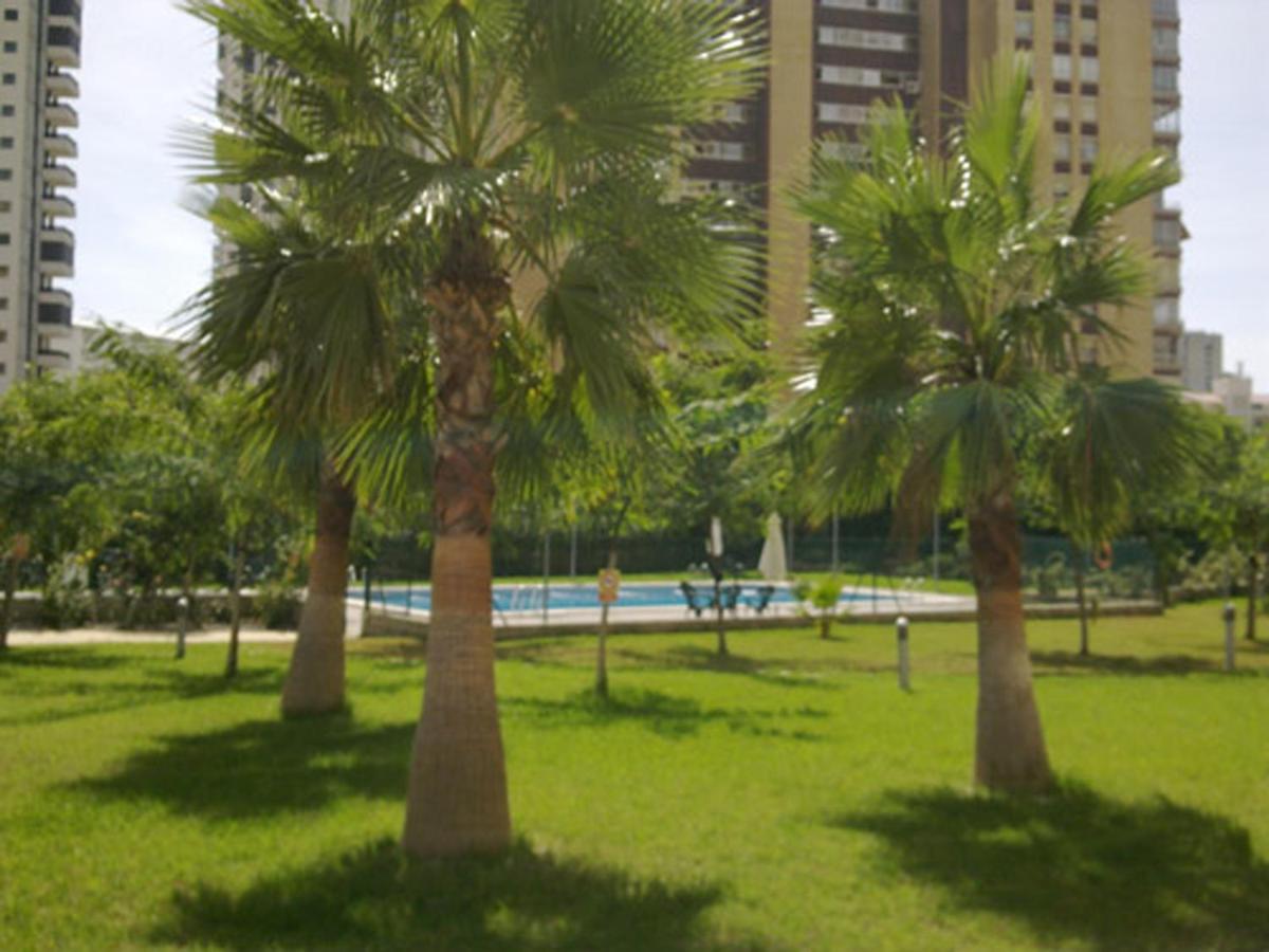 Apartamento Solo Familias Torresol