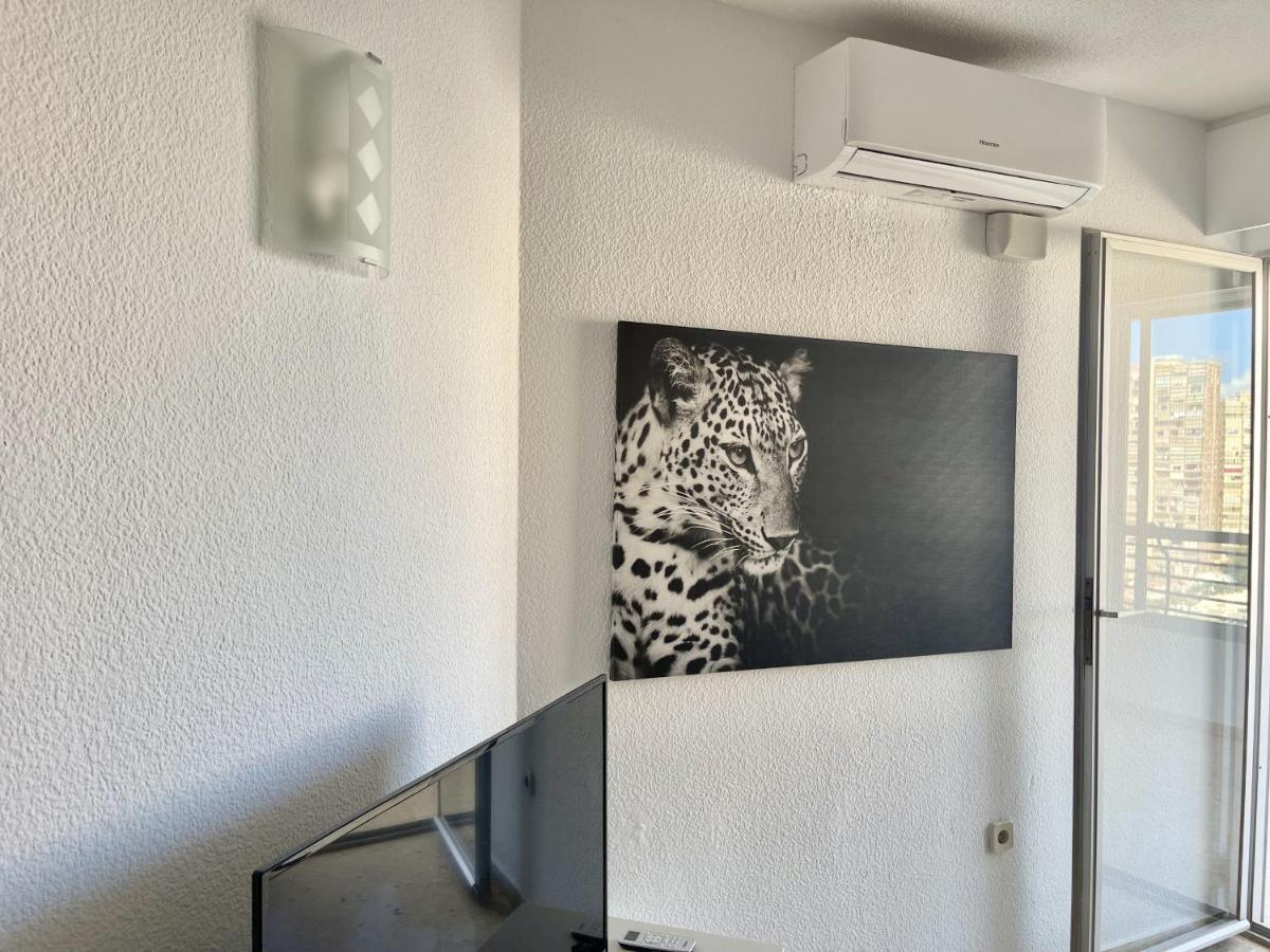 Apartamento Torre Valencia Benidorm