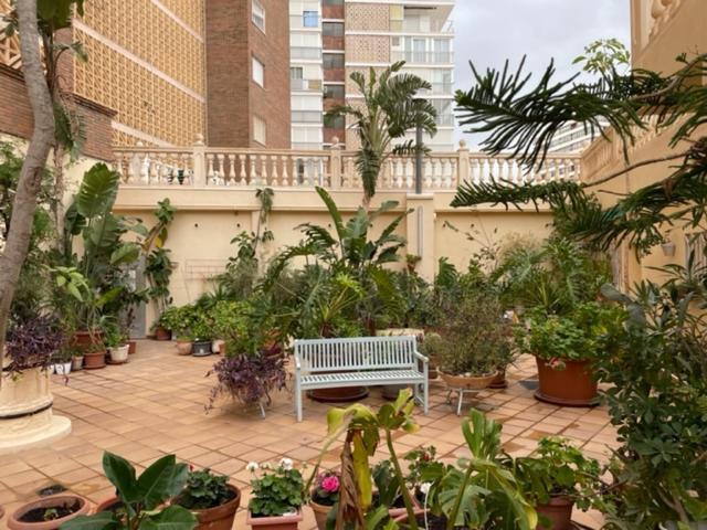 Precioso A Estrenar En Primera Línea De Playa * Benidorm