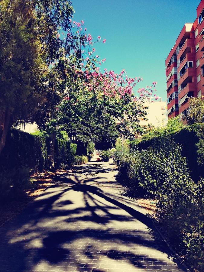 Casablanca Mediterranean Apartamento *