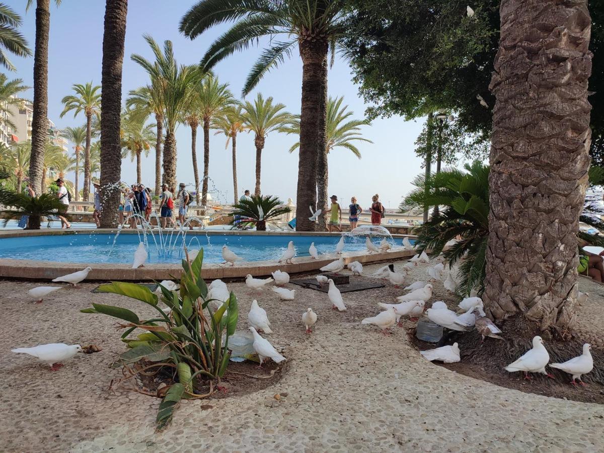 Apartamento Agua Marina Levante