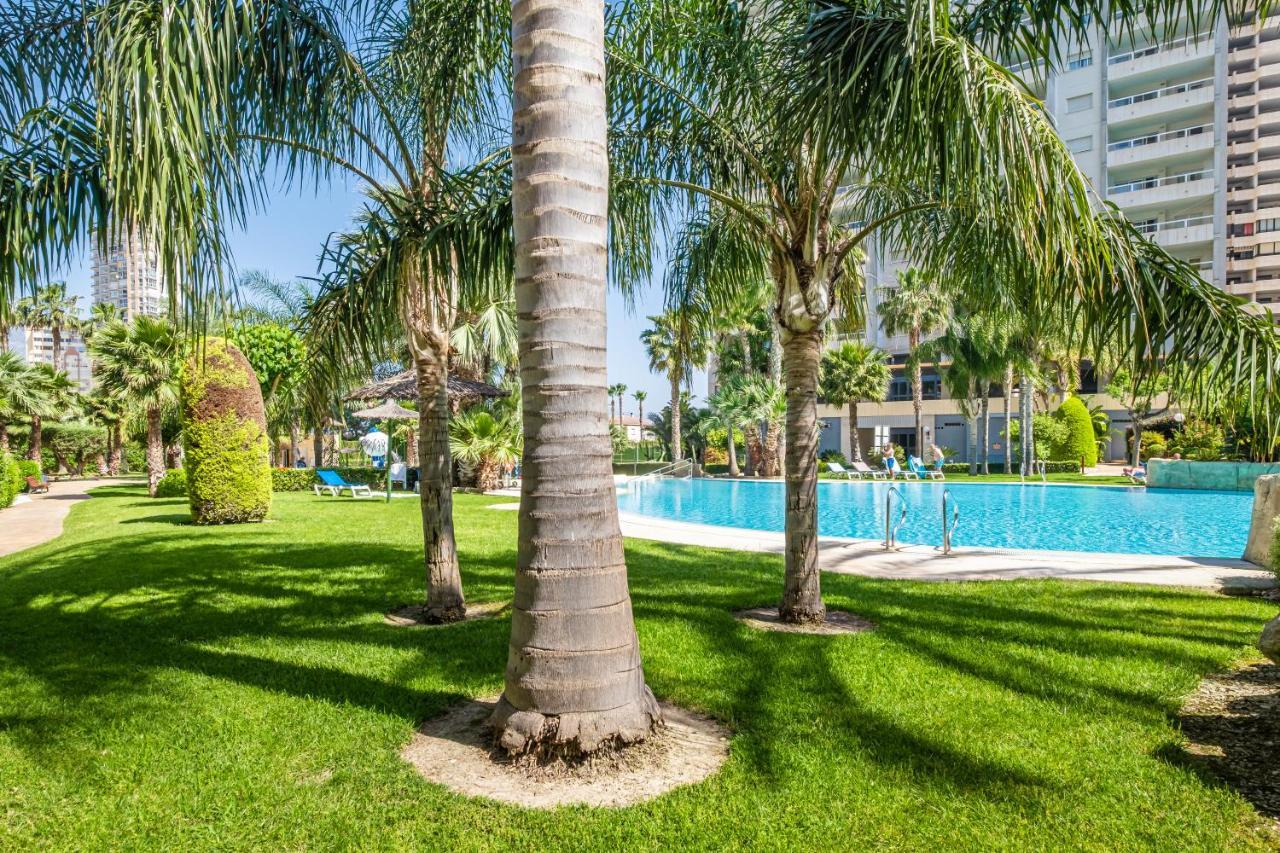Gemelos 22-3-18b Apartamento Benidorm