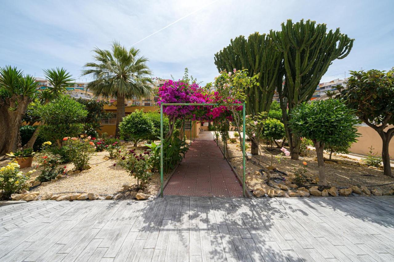 Apartamento Piso Manuel Playa Poniente Benidorm