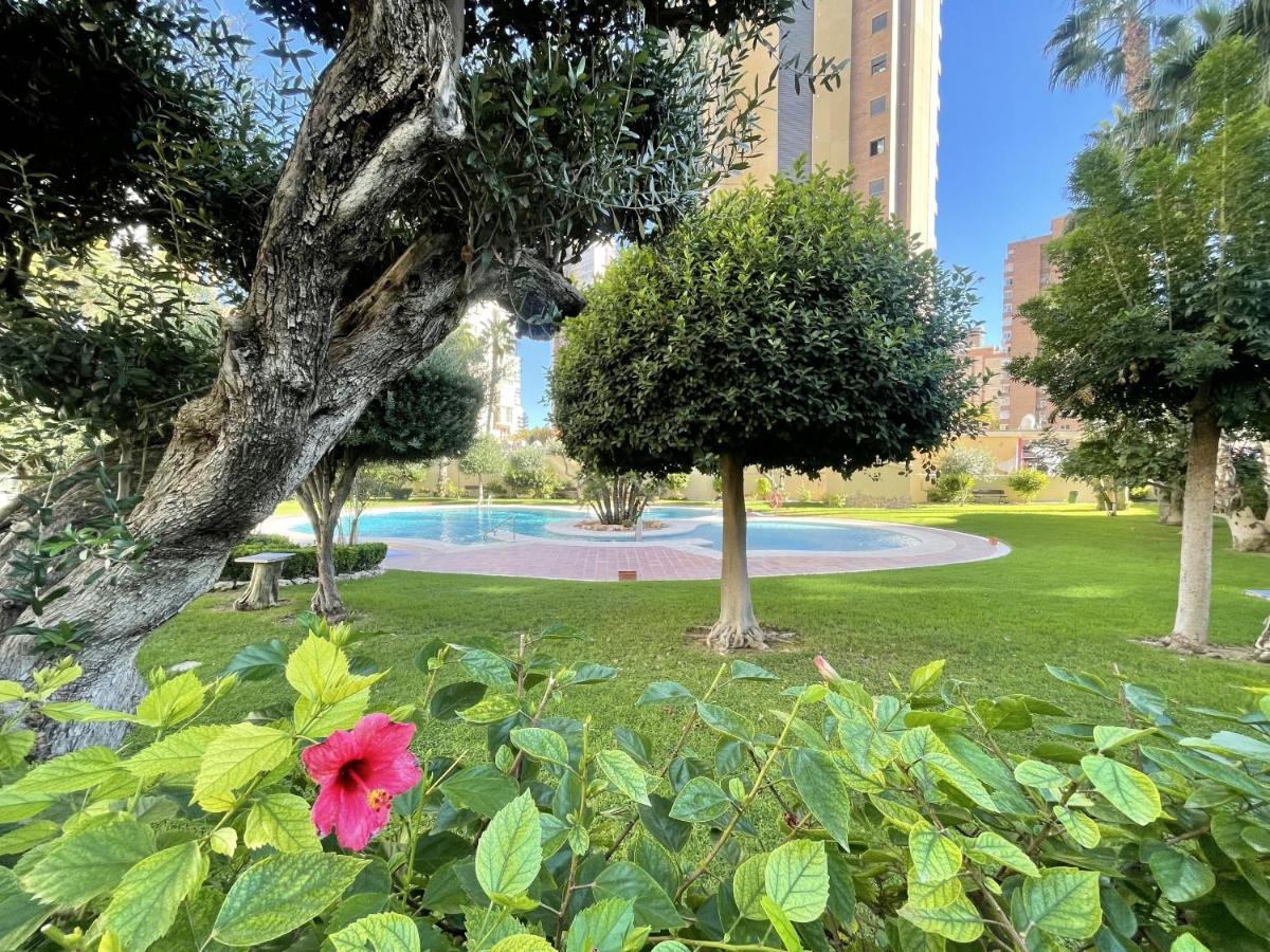 Torpa Levante Benidorm