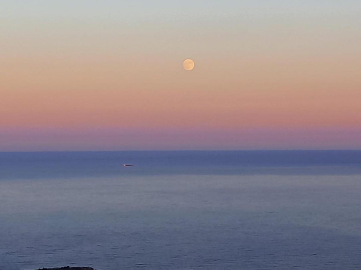 Alma De Mar Apartamento Benidorm