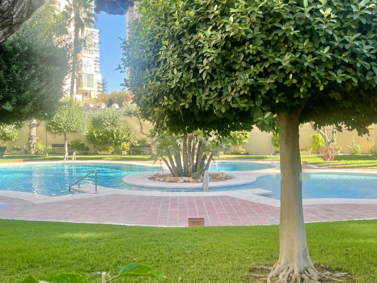 Apartamento Torpa Levante