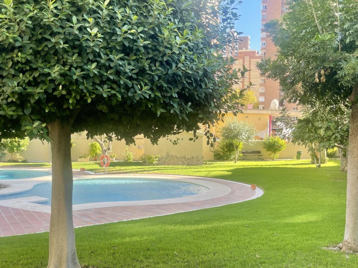Apartamento Torpa Levante *