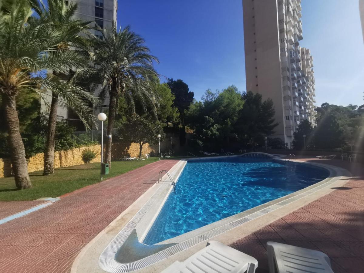 For Rent For Days Beautiful In Sea Views Apartamento *