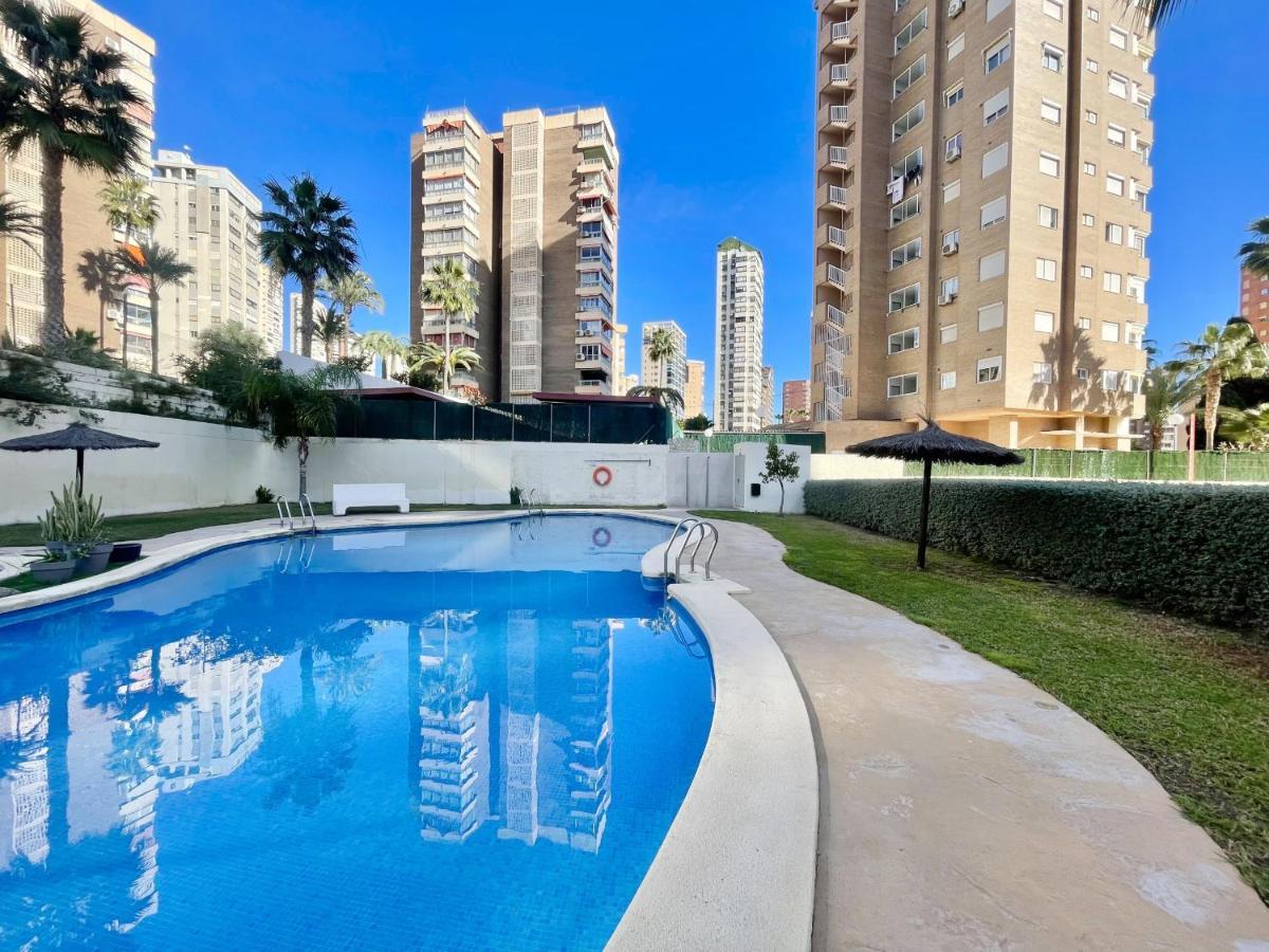 Marina Levante Sedavi
