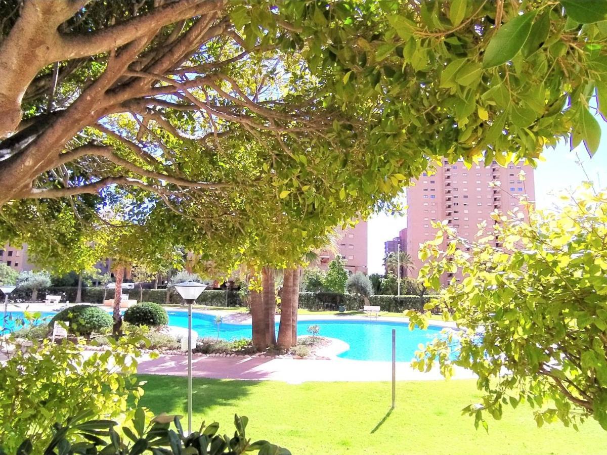 Coblanca-1 By Interhome Apartamento Benidorm
