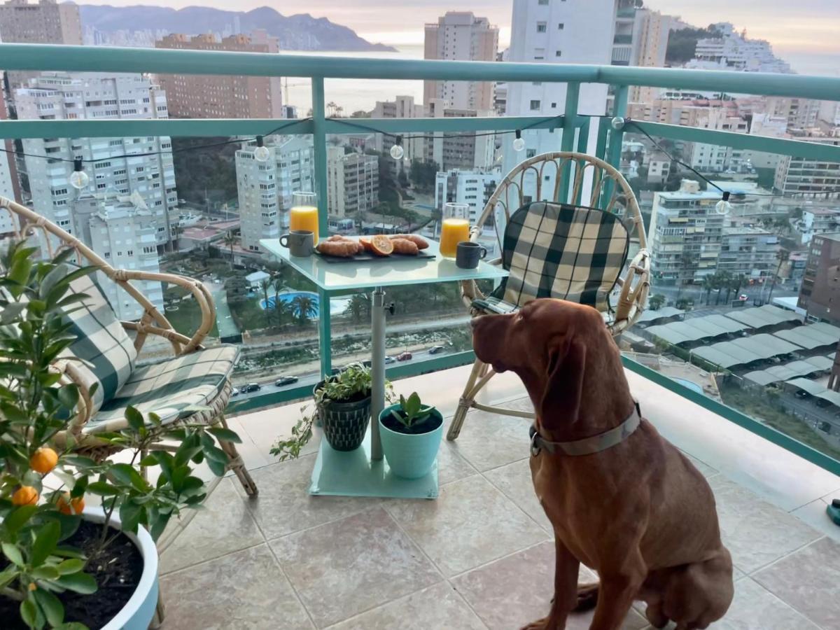 Apartamento Traveler's With Sea View, Free Coffee & Parking