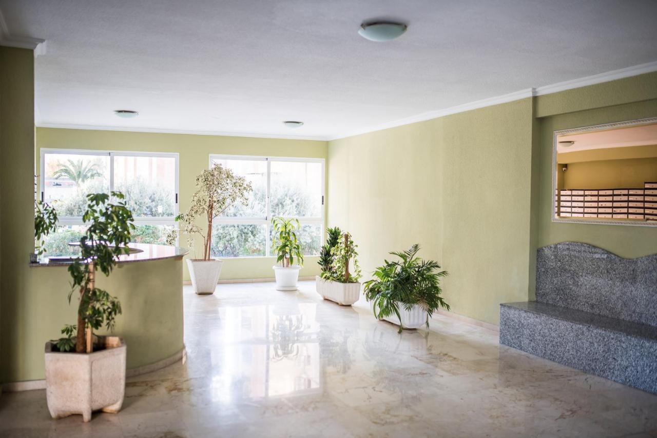 My Sweet Pink Apartamento Benidorm